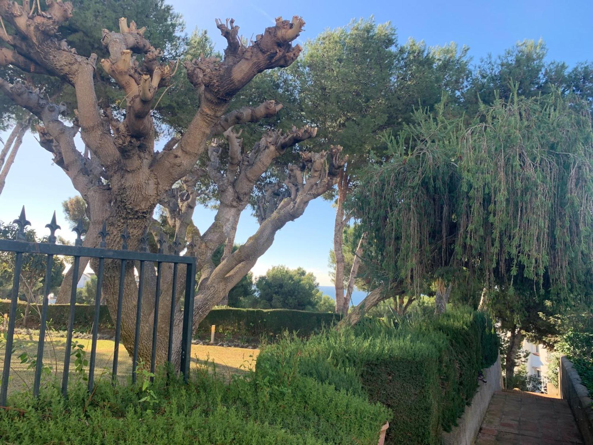 Jardin Miraflores Διαμέρισμα La Cala De Mijas Εξωτερικό φωτογραφία